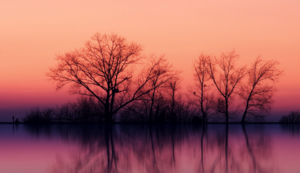 欢迎使用Z-BlogPHP！