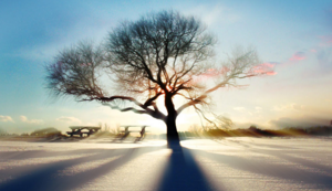 欢迎使用Z-BlogPHP！